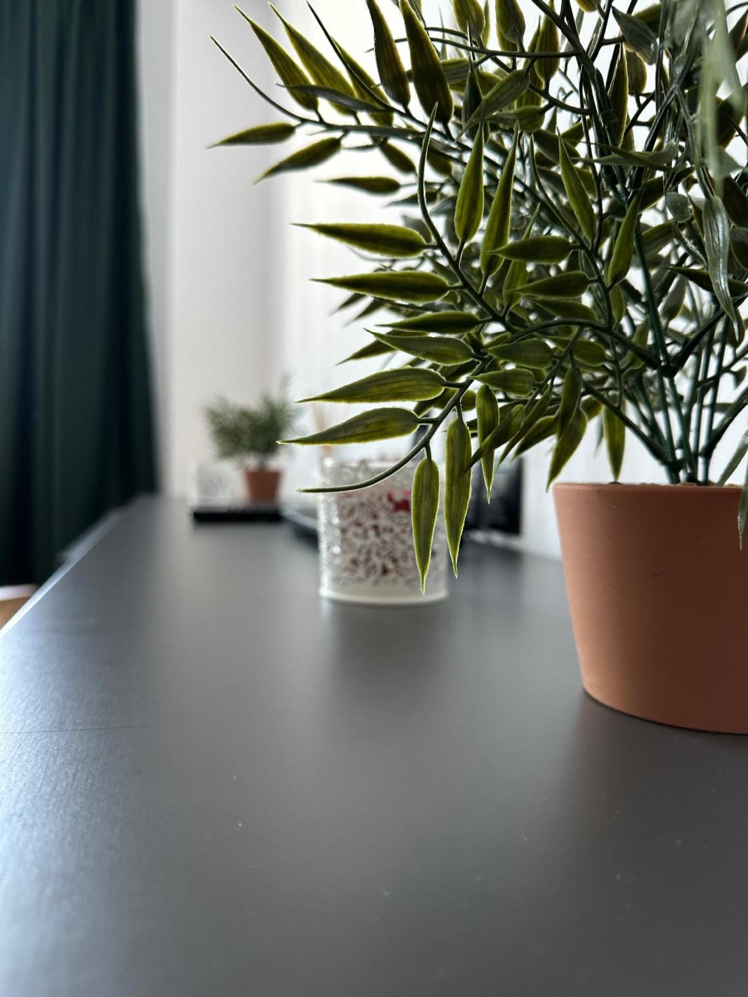Junior Residence Studio كلوج-نابوكا المظهر الخارجي الصورة